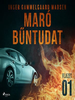 cover image of Maró bűntudat – 1. fejezet